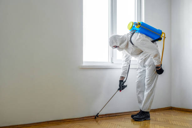 Best Termite Inspection and Treatment  in Milton, PA